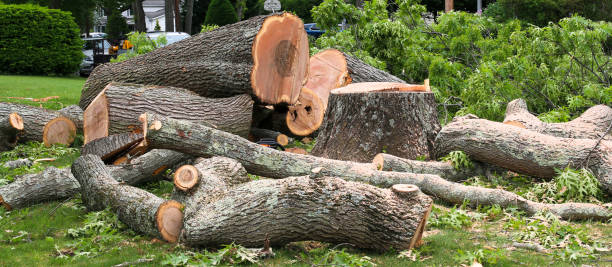  , VA Tree Services Pros